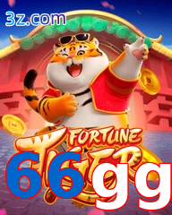 66gg
